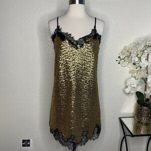 robert rodriguez Chantilly Lace Sequined Dress